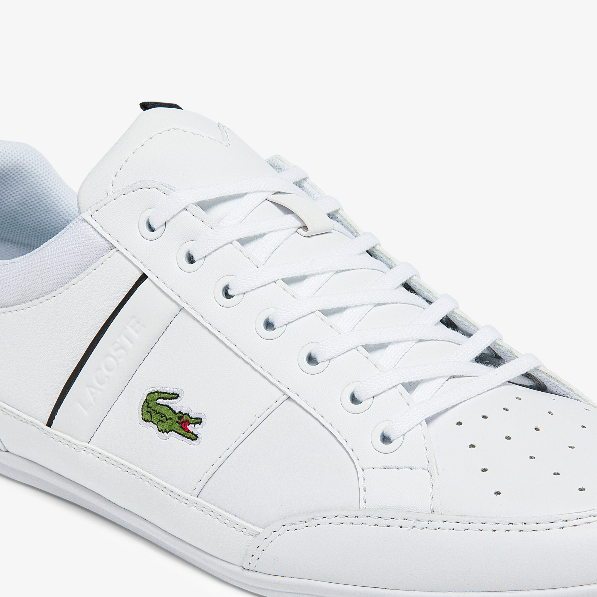 Tenis lacoste chaymon sales