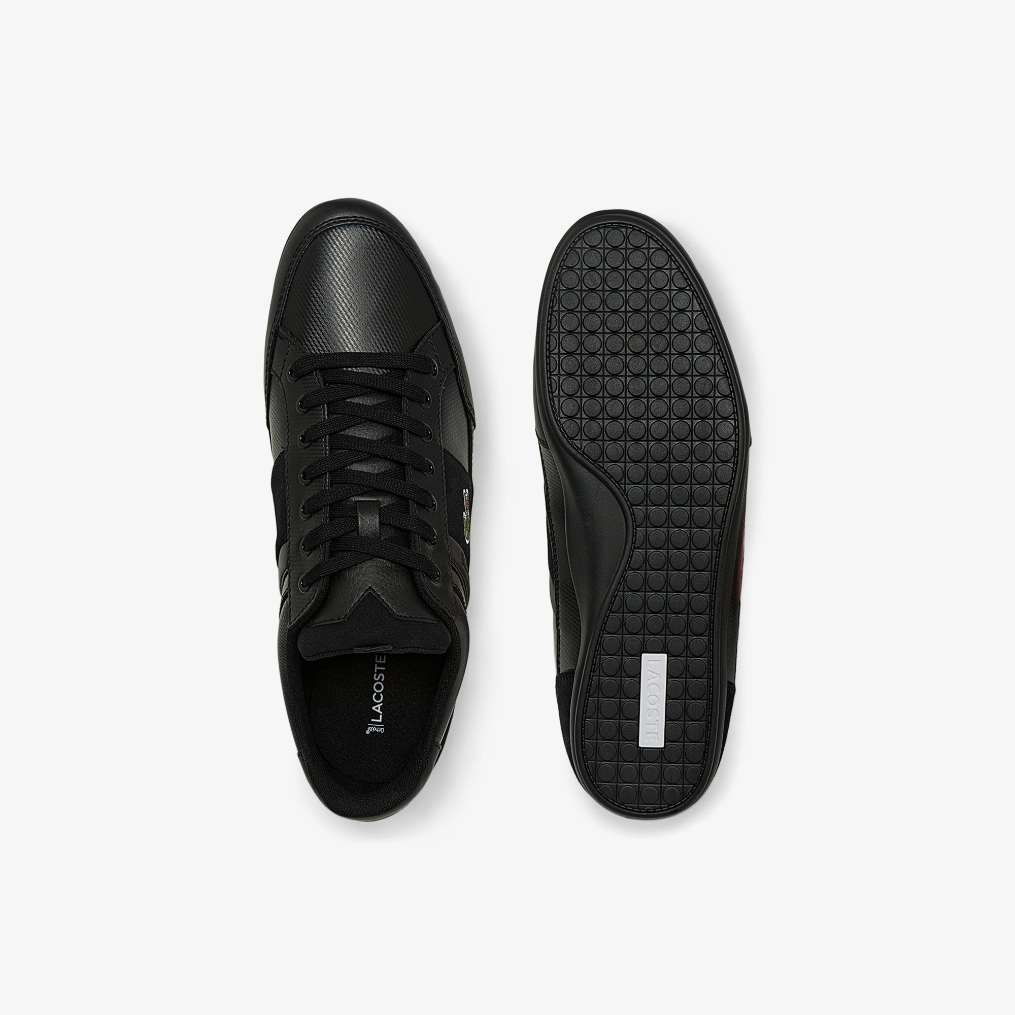Zalando 2025 lacoste chaymon