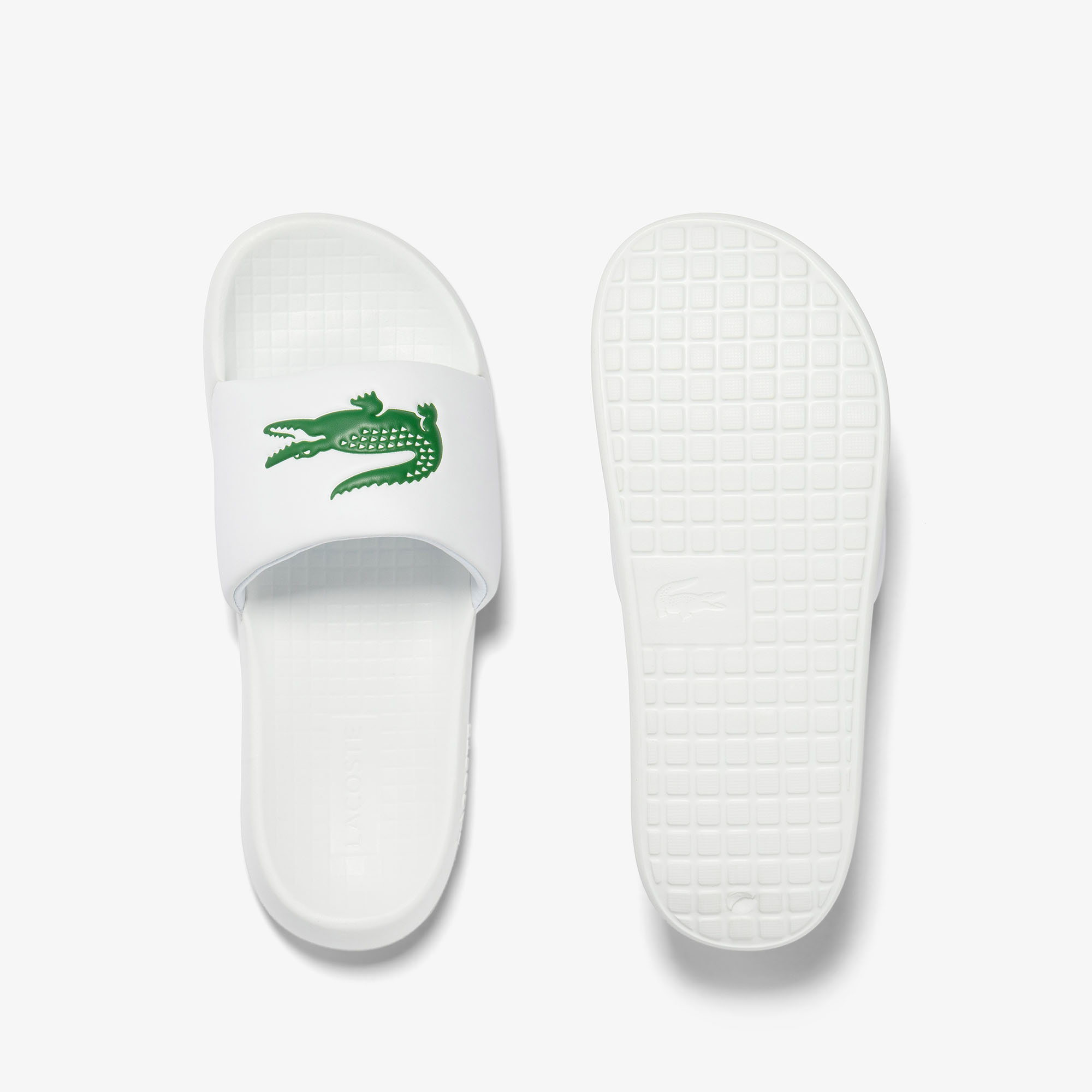 100 store croco lacoste