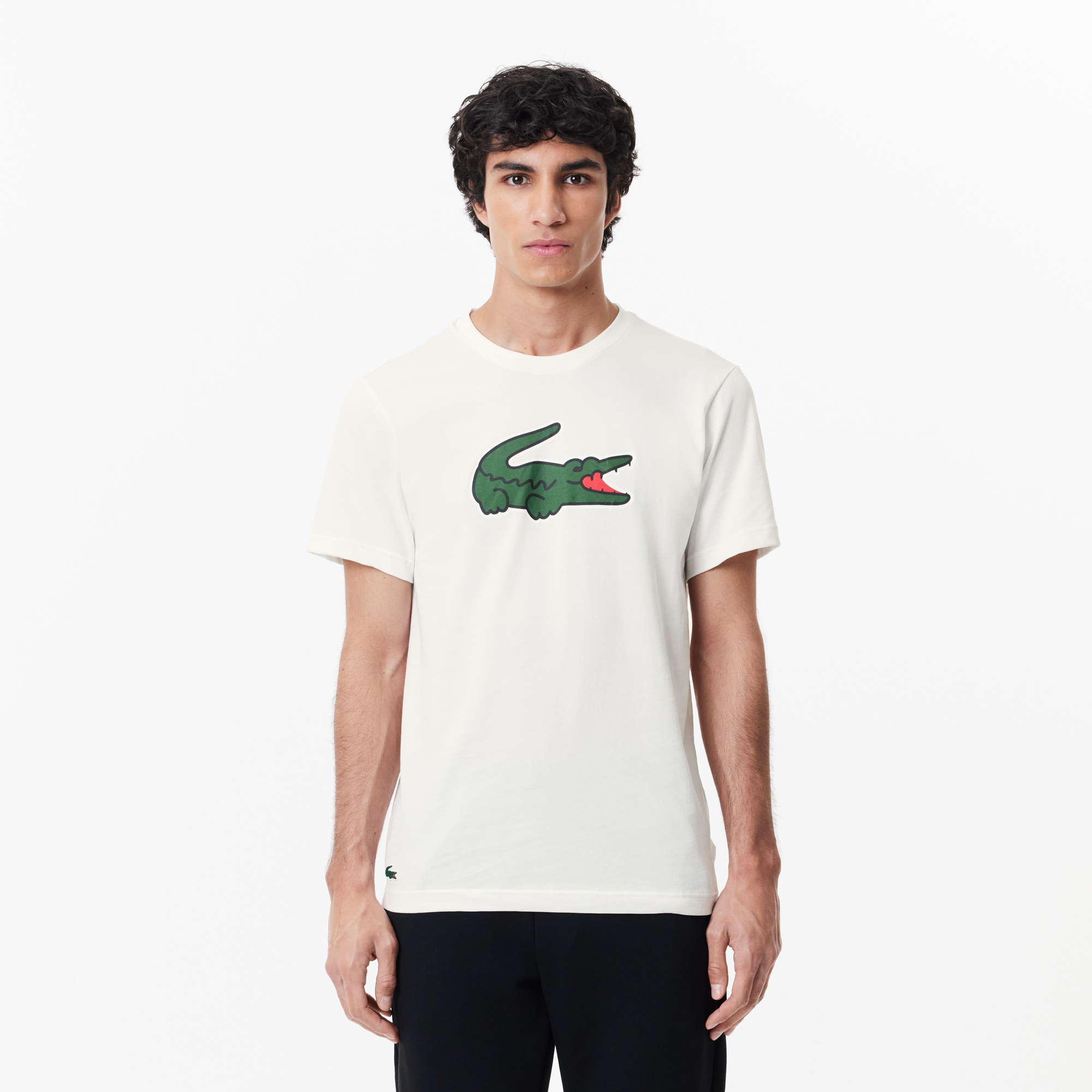 Lacoste th clearance
