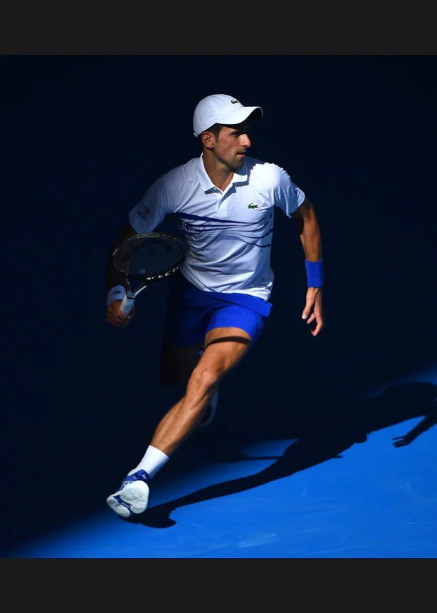 novak djokovic lacoste